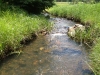 Bear Butte Creek